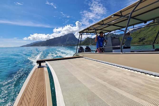 Half-Day Humpback Whales Encounter in Moorea - What $236.85 gets you