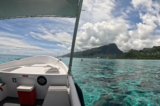 Half-Day Humpback Whales Encounter in Moorea - Who will enjoy this Moorea whale encounter