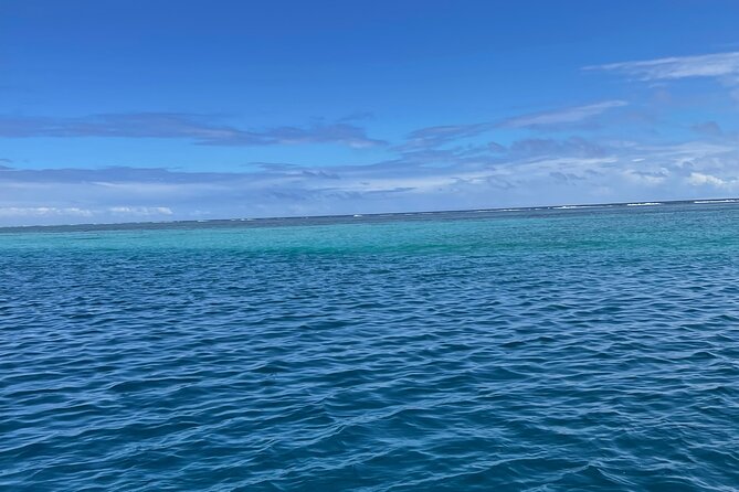 Half-Day Humpback Whales Encounter in Moorea - The best way to set your expectations
