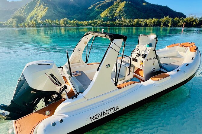 Half Day Private Whale Watching in Moorea - Drinks, snacks, and the missing lunch