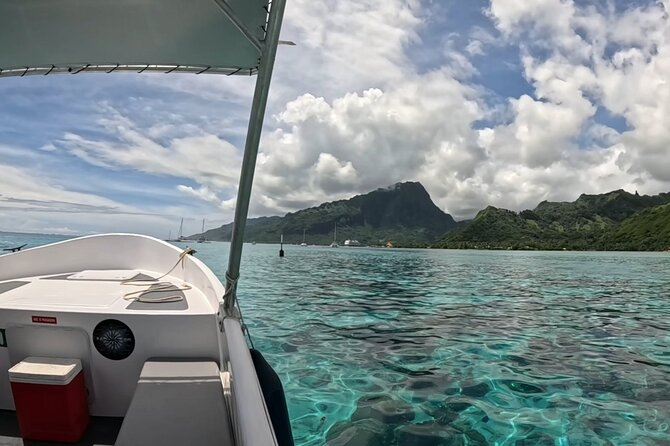 Half Day Private Whale Watching in Moorea - Is $976.97 good value for your group?