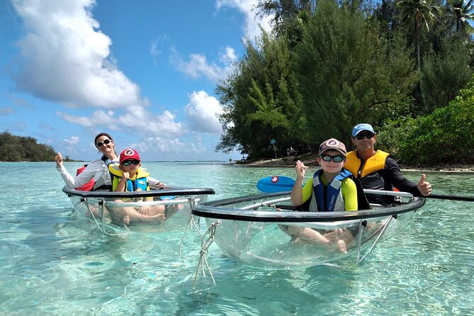 Half Day Small Group Whale Watching - What swimming with the whales requires