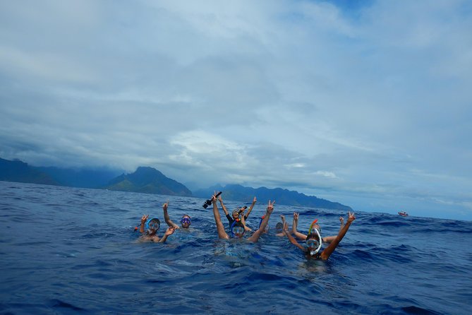 Half day whale tour 4h00 - Rough seas can change the entire mood