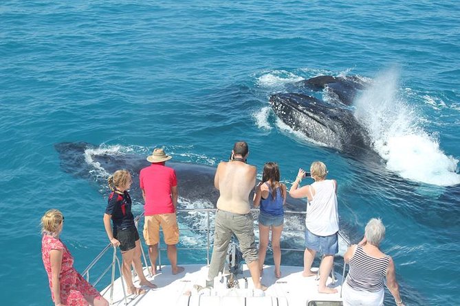 Half-Day Whale Watching Sunset Cruise from Broome - Starting at Cable Beach at 1:30 pm