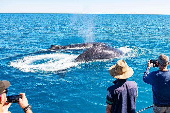 Half-Day Whale Watching Sunset Cruise from Broome - The Return to Cable Beach and Broome’s Sunset