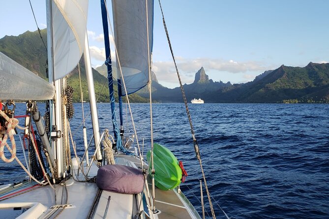 Half day whale watching - Without launch - Moorea’s peaks from the water