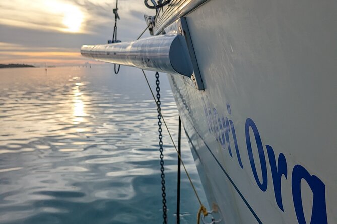 Half day whale watching - Without launch - Private space for six people