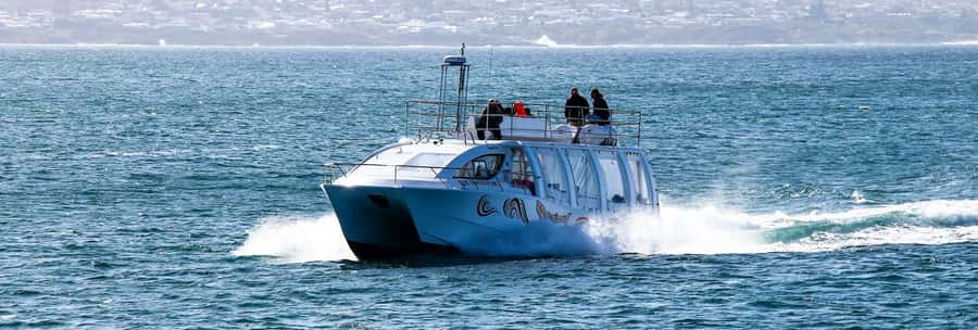 Hermanus: Boat Based Whale Watching Experience - Who Should Book This Boat Trip?