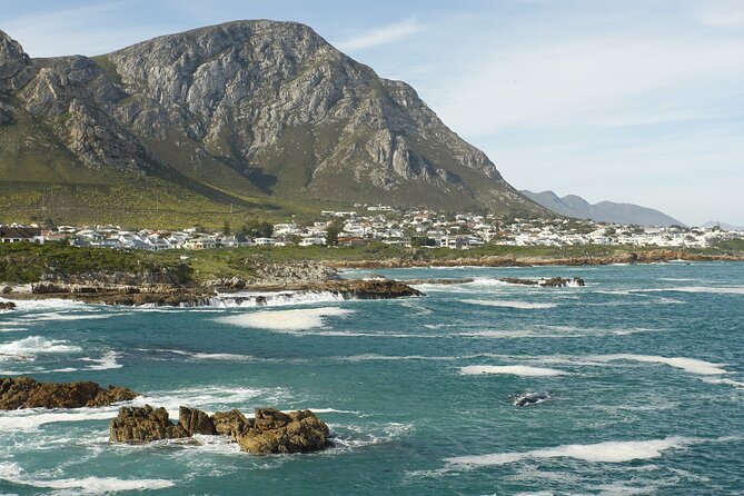 Hermanus Land based Whale Tour with Dave de Beer - Why Hermanus is a fine place to watch whales from land