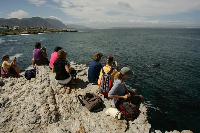 Hermanus Land based Whale Tour with Dave de Beer - Two hours along the Hermanus Cliff Path