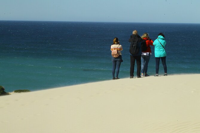 Hermanus Land based Whale Tour with Dave de Beer - Dave de Beer’s guiding style
