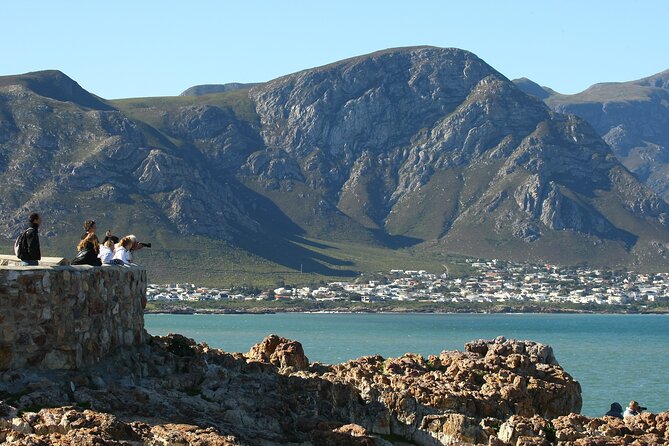 Hermanus Land based Whale Tour with Dave de Beer - Starting at the Whale House Museum