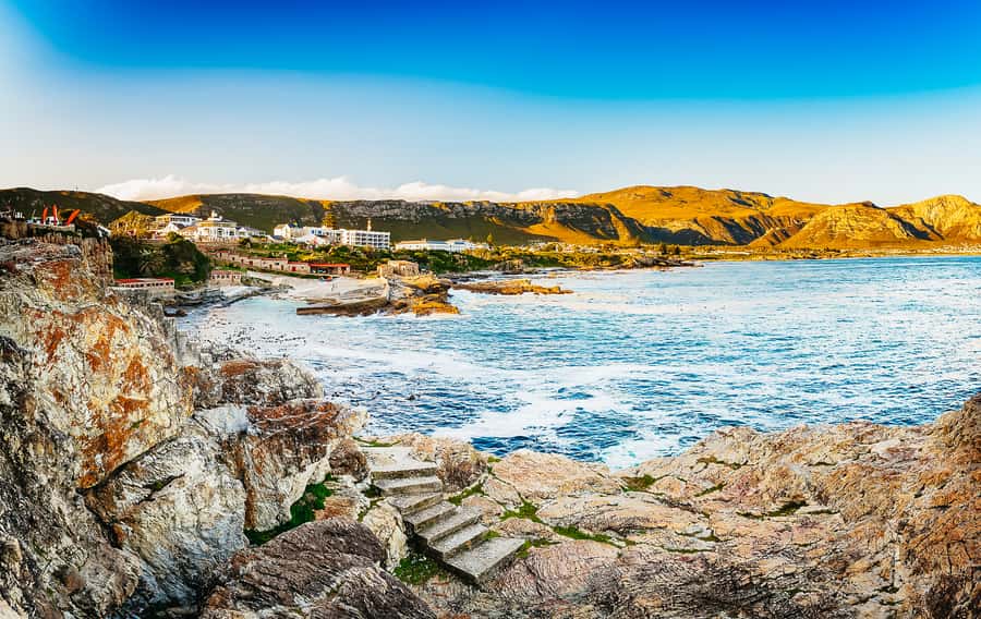 Hermanus: Whale and Dolphin Watching Boat Trip - The best time to book your two-hour trip