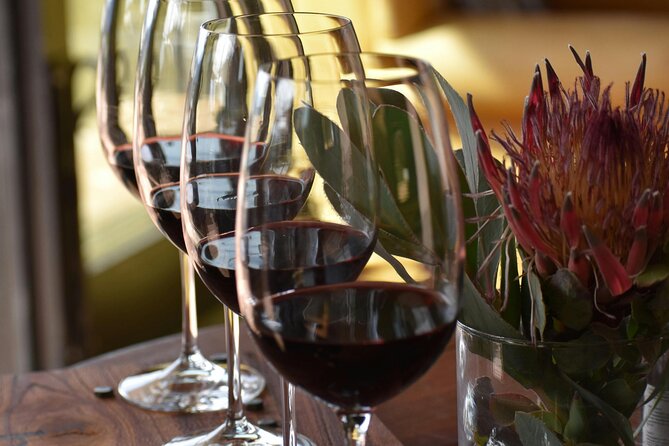 Hermanus Whale Watching and Wine Tasting - Best time to go