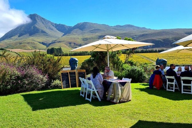Hermanus Whale Watching and Wine Tasting Private Tour - African penguins at Stony Point