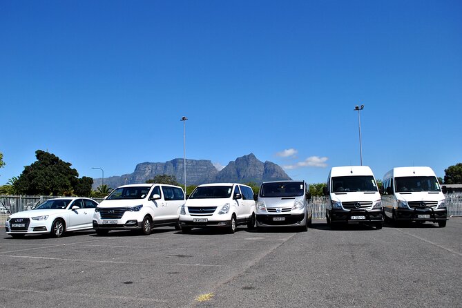Hermanus Whales and Wine Full Day Private Tour - Hermanus and the whale question
