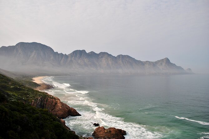 Hermanus Whales and Wine Full Day Private Tour - What the price really covers