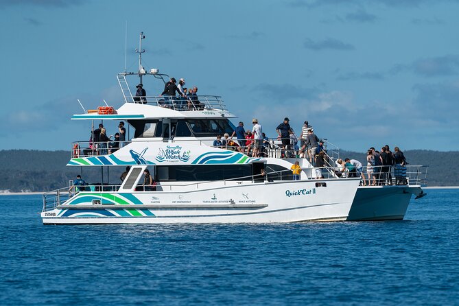 Hervey Bay: Best Value Half Day Whale Watching Cruise - Key points to know before you book