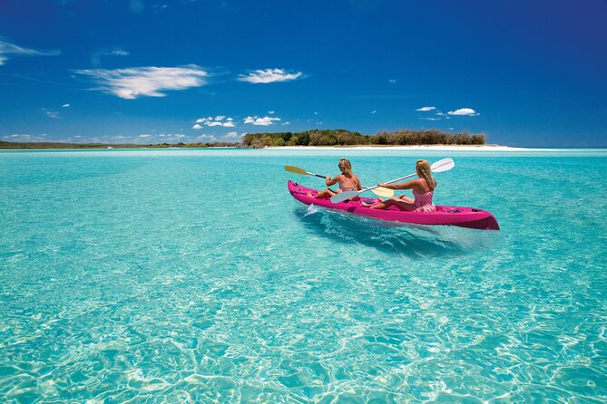 Hervey Bay: Best Value Half Day Whale Watching Cruise - Morning tea, afternoon tea, and the return ride