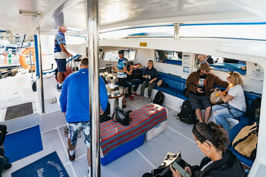 Hervey Bay: Exclusive Whale Watch Encounter - Who will enjoy this whale encounter most