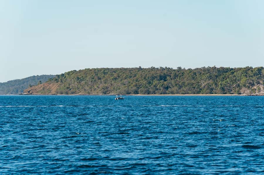 Hervey Bay: Exclusive Whale Watch Encounter - Hearing the whales through the hydrophone