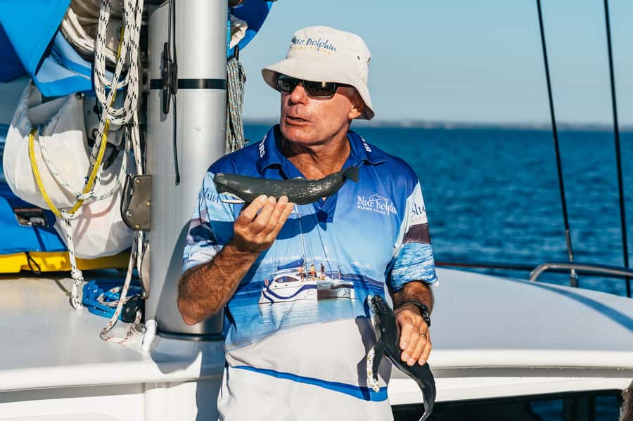 Hervey Bay: Exclusive Whale Watch Encounter - Crew service and the feel of the boat