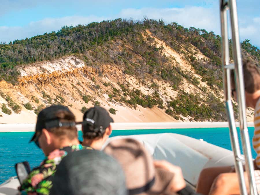 Hervey Bay: Half-Day Whale and Island Adventure by Boat - Key points at a glance