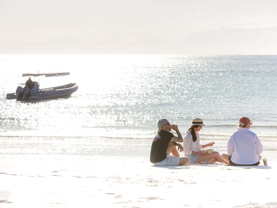 Hervey Bay: Half-Day Whale and Island Adventure by Boat - Price and value at $116