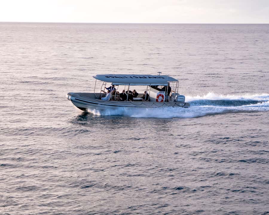 Hervey Bay: Half-Day Whale and Island Adventure by Boat - Who should book this tour?