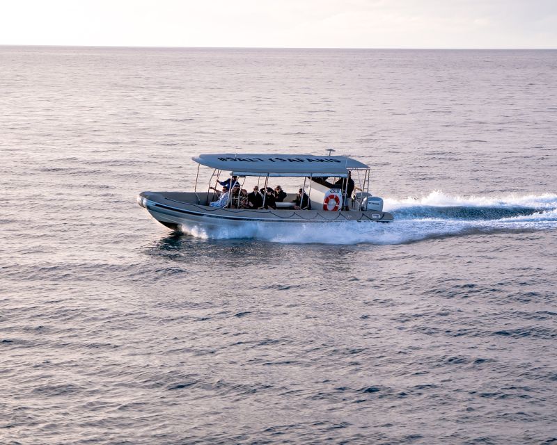 Hervey Bay: Half-Day Whale and Island Adventure by Boat - The crew and overall mood