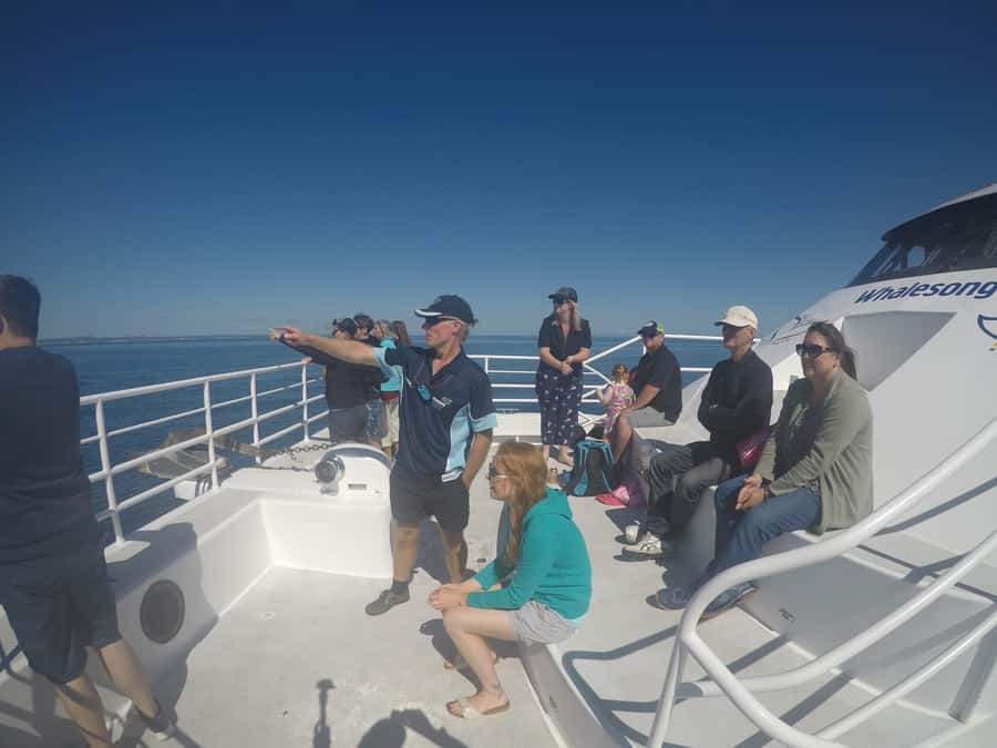 Hervey Bay: Half-Day Whale Watching Cruise with Meal - Boat comfort, space, and the rough-water question