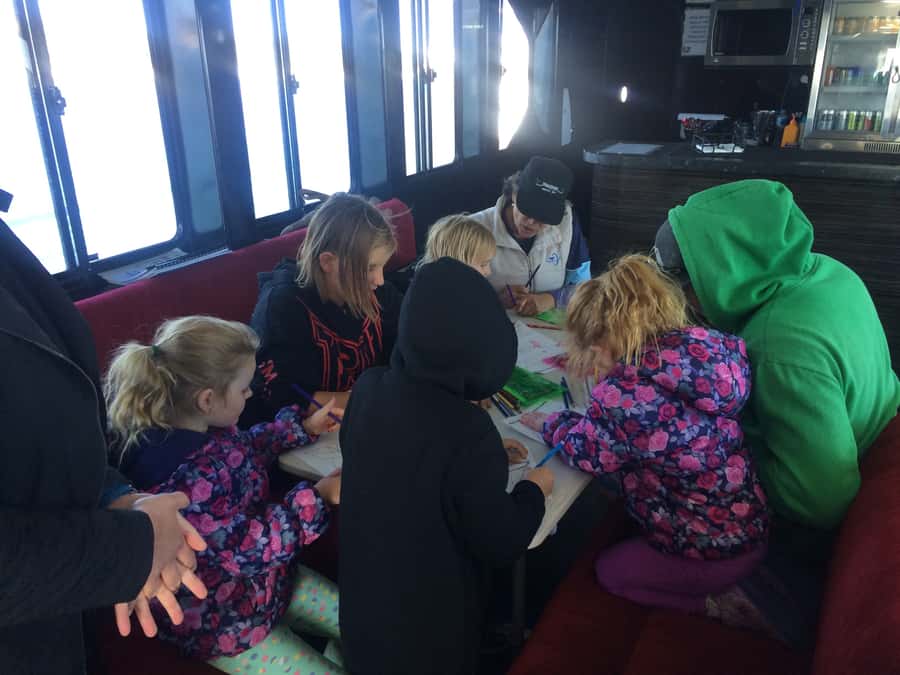 Hervey Bay: Half-Day Whale Watching Cruise with Meal - Is $113 good value?