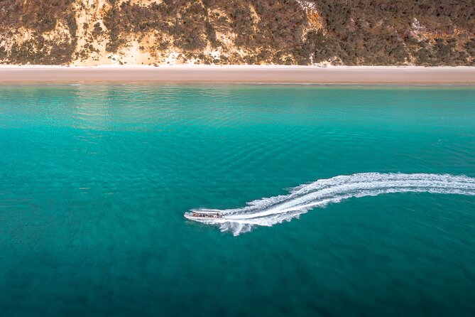 Hervey Bay: Half Day Whale watching & Island Stop Tour - Who will enjoy Wipe Out most