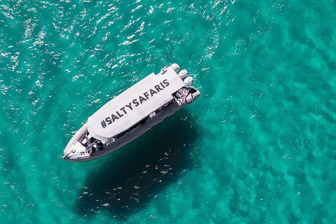 Hervey Bay: Half Day Whale watching & Island Stop Tour - Three hours in Platypus Bay with humpback whales