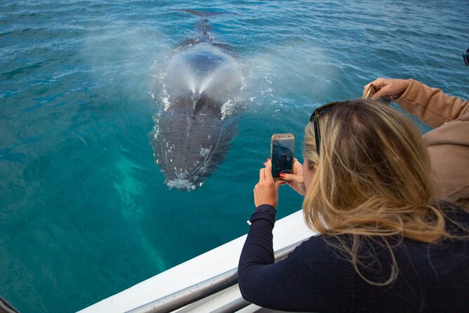 Hervey Bay Ultimate Whale Watching Cruise - Why the small boat changes the experience