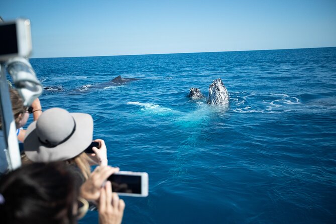 Hervey Bay Ultimate Whale Watching Cruise - Snacks, drinks, and the family factor