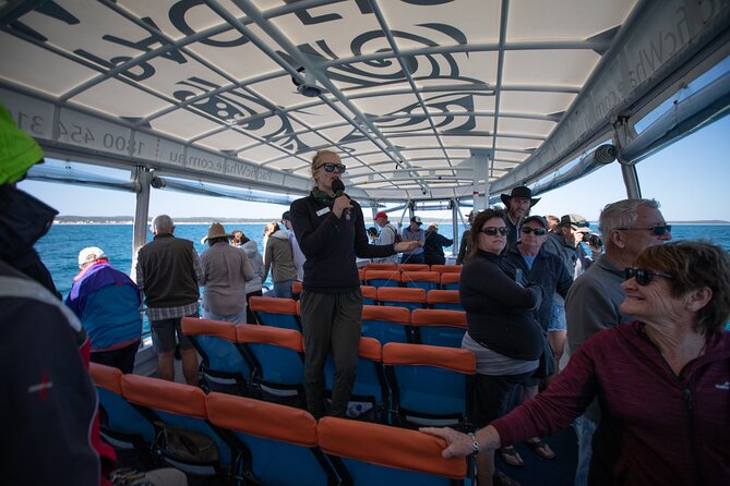 Hervey Bay Ultimate Whale Watching Cruise - Is $85.35 good value?