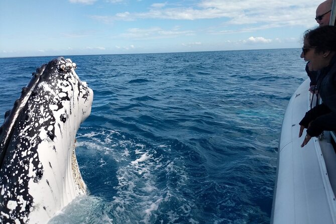 Hervey Bay Ultimate Whale Watching Cruise - Listening to whales with the onboard hydrophone