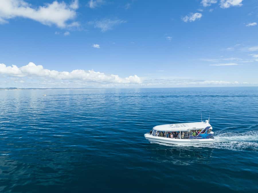 Hervey Bay: Ultimate Whale Watching Experience - The value of $84