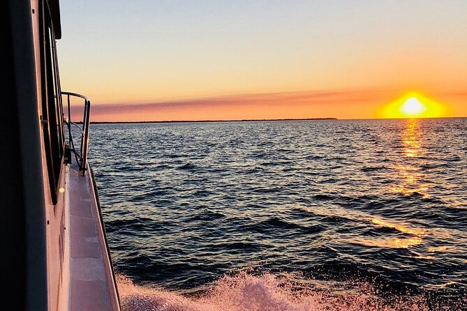 Hervey Bay Whale Swim and Watch - Food, hot drinks, and the practical comforts