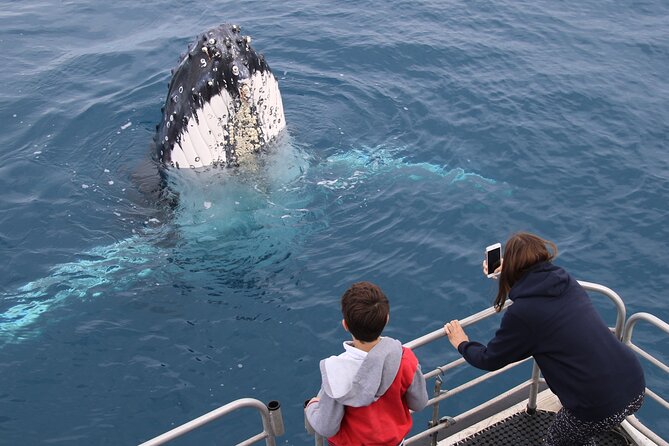Hervey Bay Whale Watching Cruise - Families, children, and comfort on board
