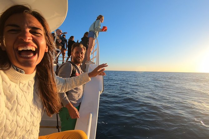 Hervey Bay Whale Watching Experience - Is $111 good value?