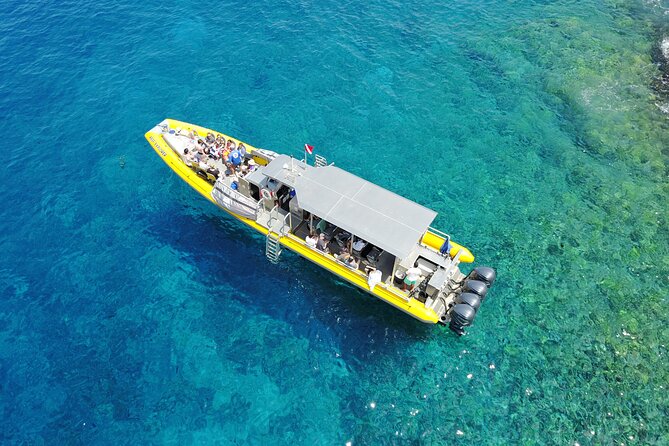 HIGH QUALITY Whale Watch Adventure Aboard Luxury Super Raft - Hearing whales sing with the onboard hydrophone