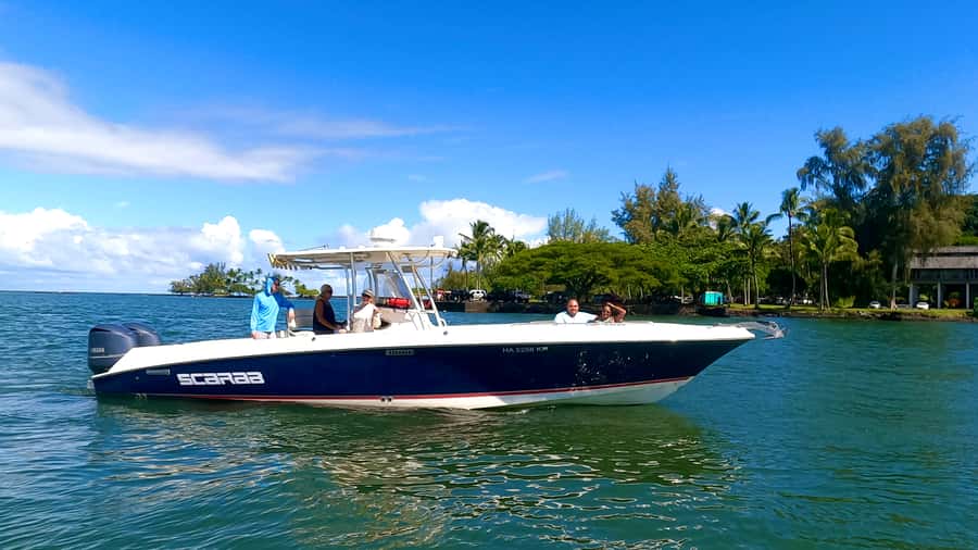 Hilo: Humpback Whale-Watching Cruise with Snacks and Drinks - Meeting Malama I Ke Kai at Wailoa Harbor