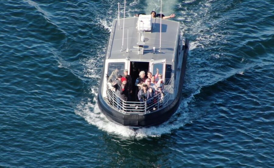 Hoonah: Icy Strait Whale Watch with Drone Filmography - Who will get the most from this trip