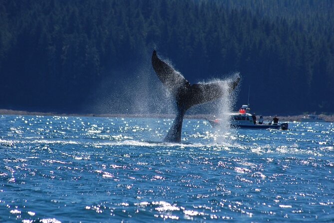 Hoonah Whale-Watching Cruise - Near Icy Strait Point - Local stories make the ride more than a search for blows