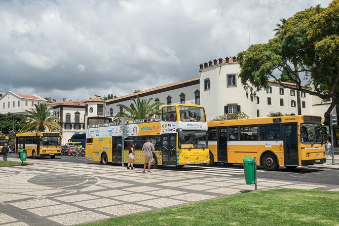 Hop-on Hop-off Bus Tour and Catamaran Whale & Dolphin Watching - Quinta Magnólia and Pico dos Barcelos