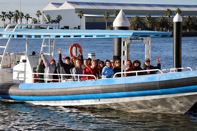 Humpback Whale Encounter Tour from Newcastle - Weather, swells, and the honest trade-off