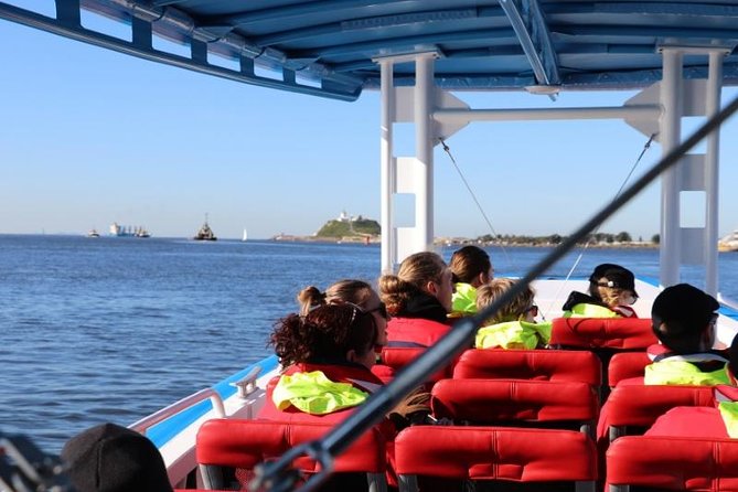 Humpback Whale Encounter Tour from Newcastle - Who will enjoy this Newcastle cruise?