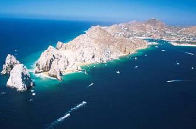 Humpback Whales in Cabo San Lucas - Key details before you book